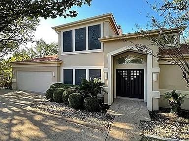10807  Love Bird Cv