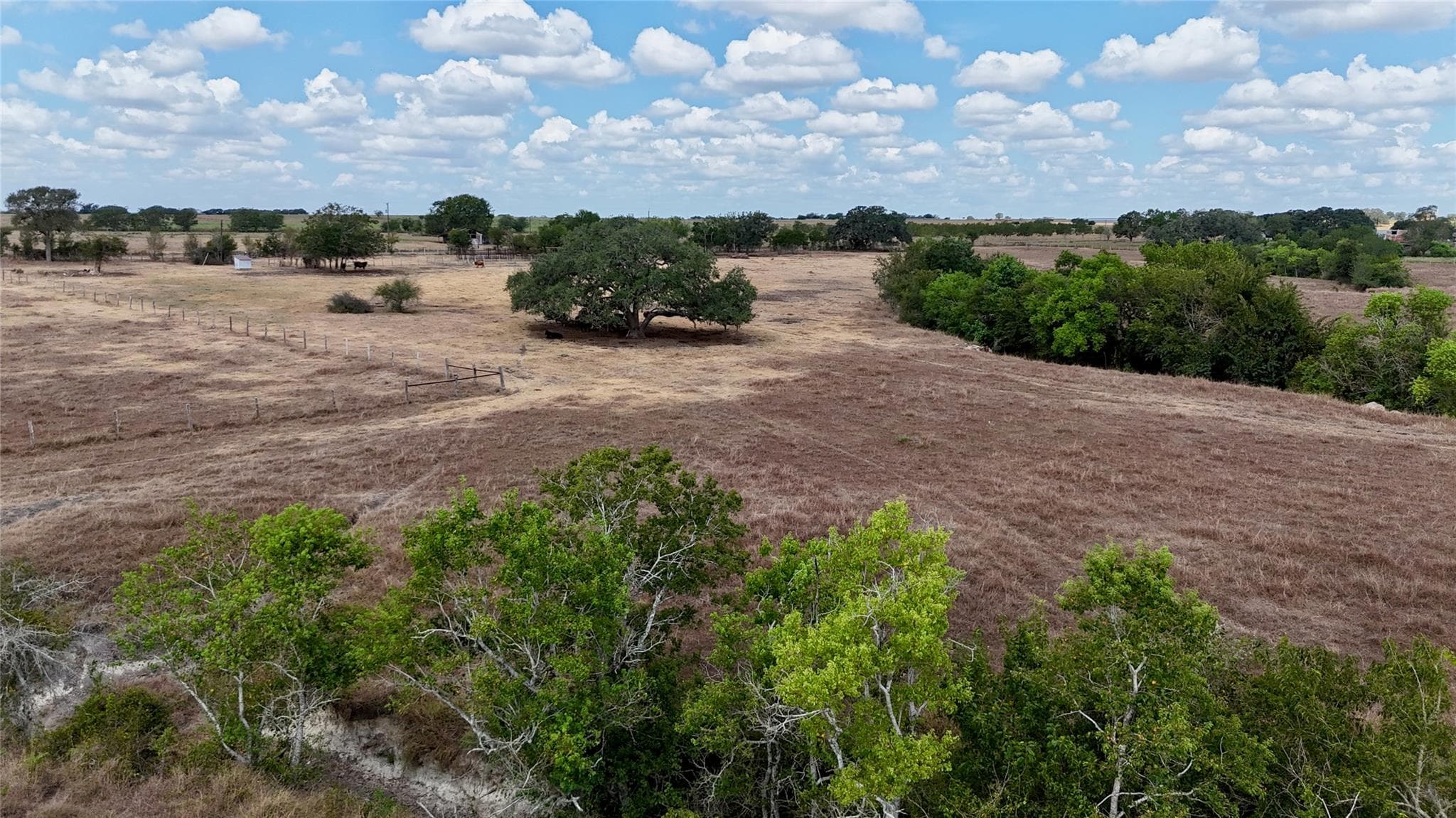 Tract 3  County Road 366 None