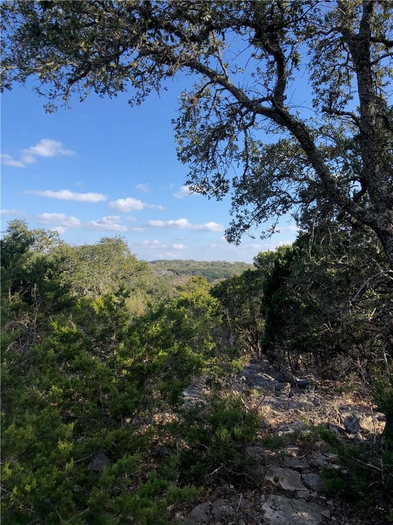 441  Cliffview Cir