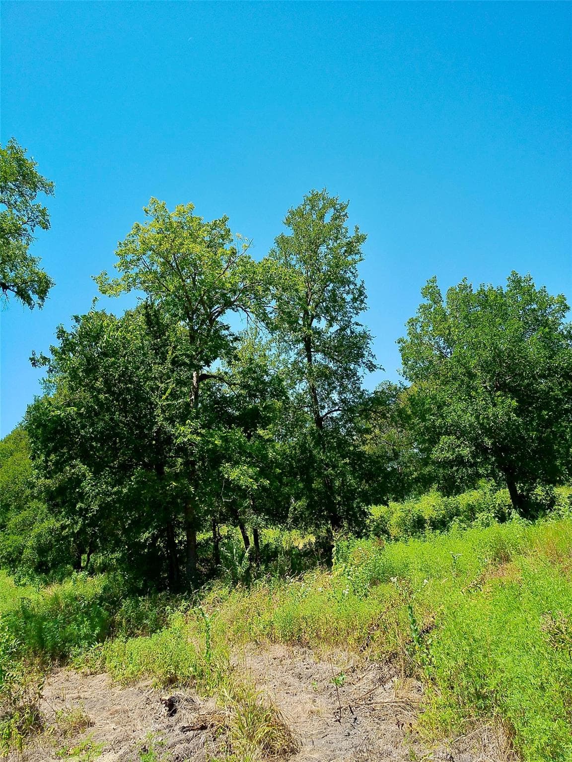 Lot 22  Serenity Dr