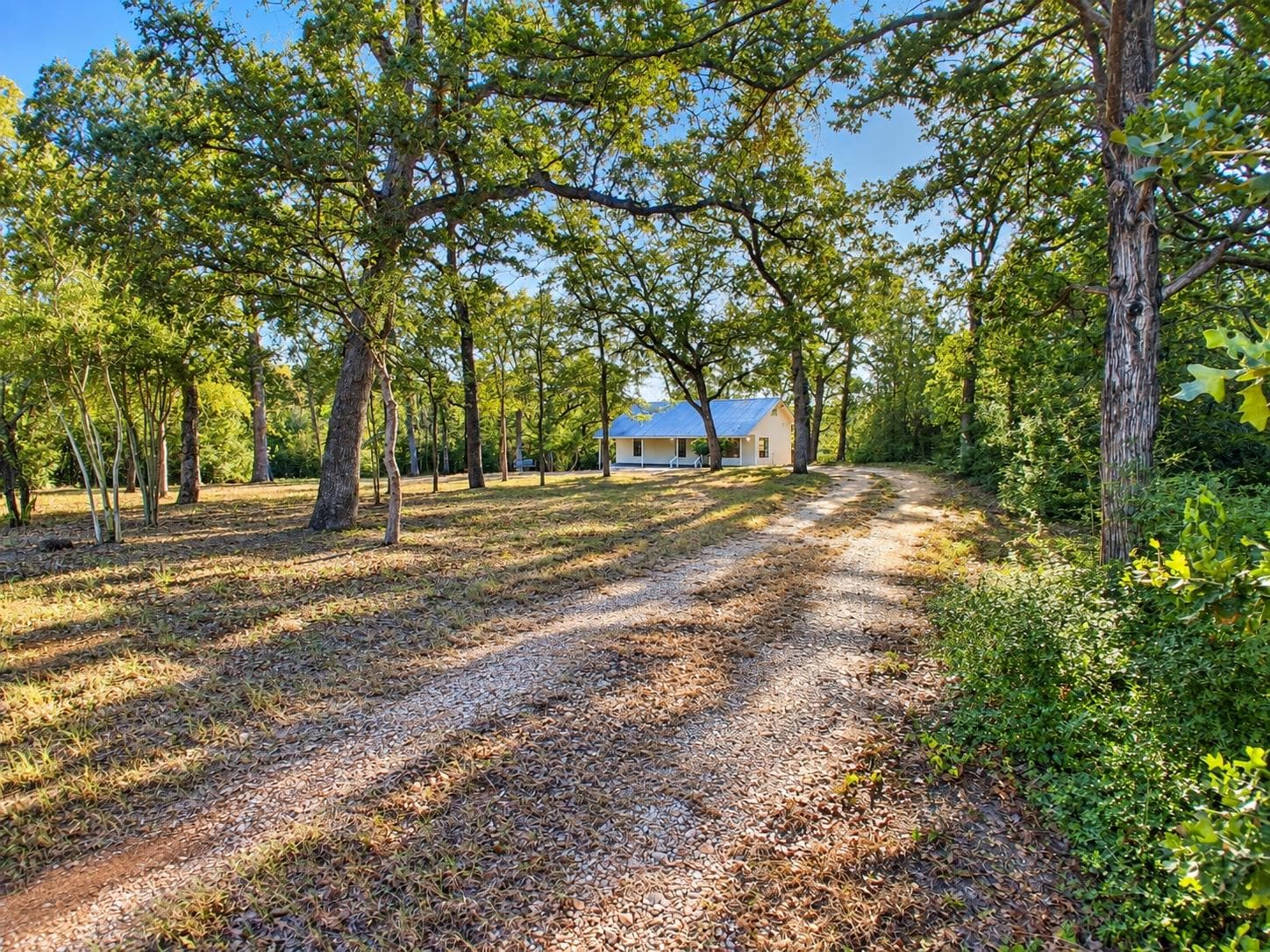 155 Michele Dr