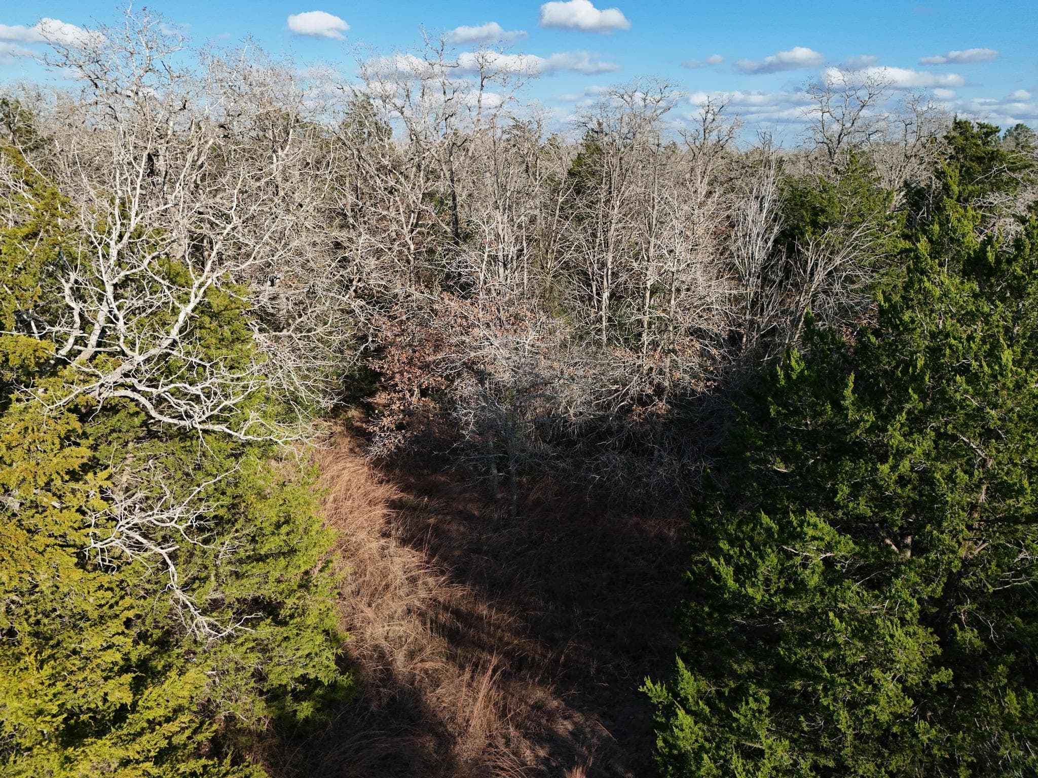 Lot 14 & Lot 15  Antioch Rd