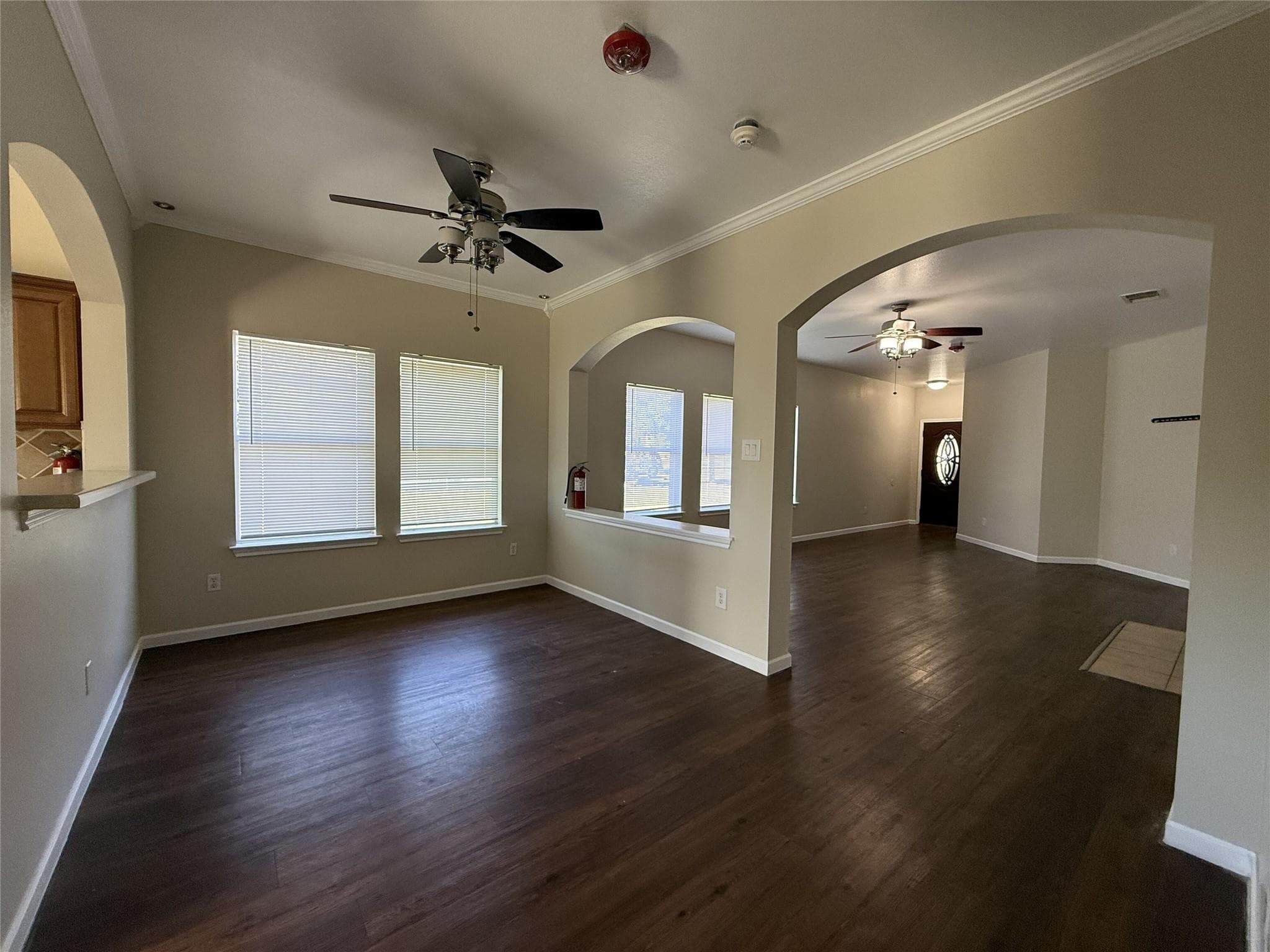 224  Dark Horse Ln
