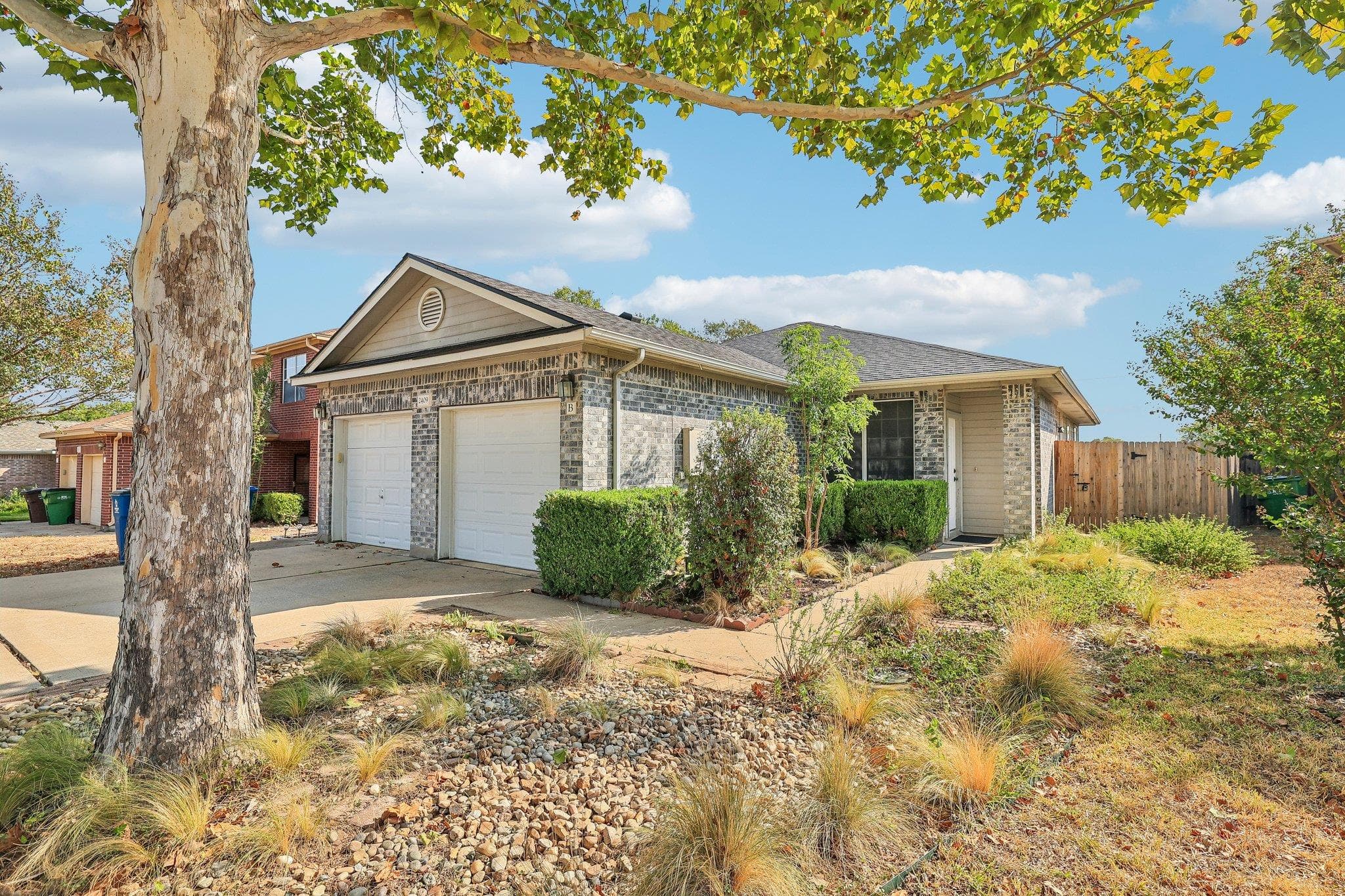 2409B  Curry Loop None