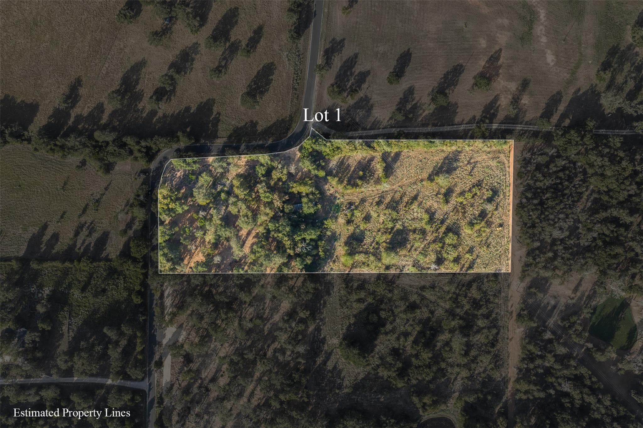 Lot 1 CR 491 None