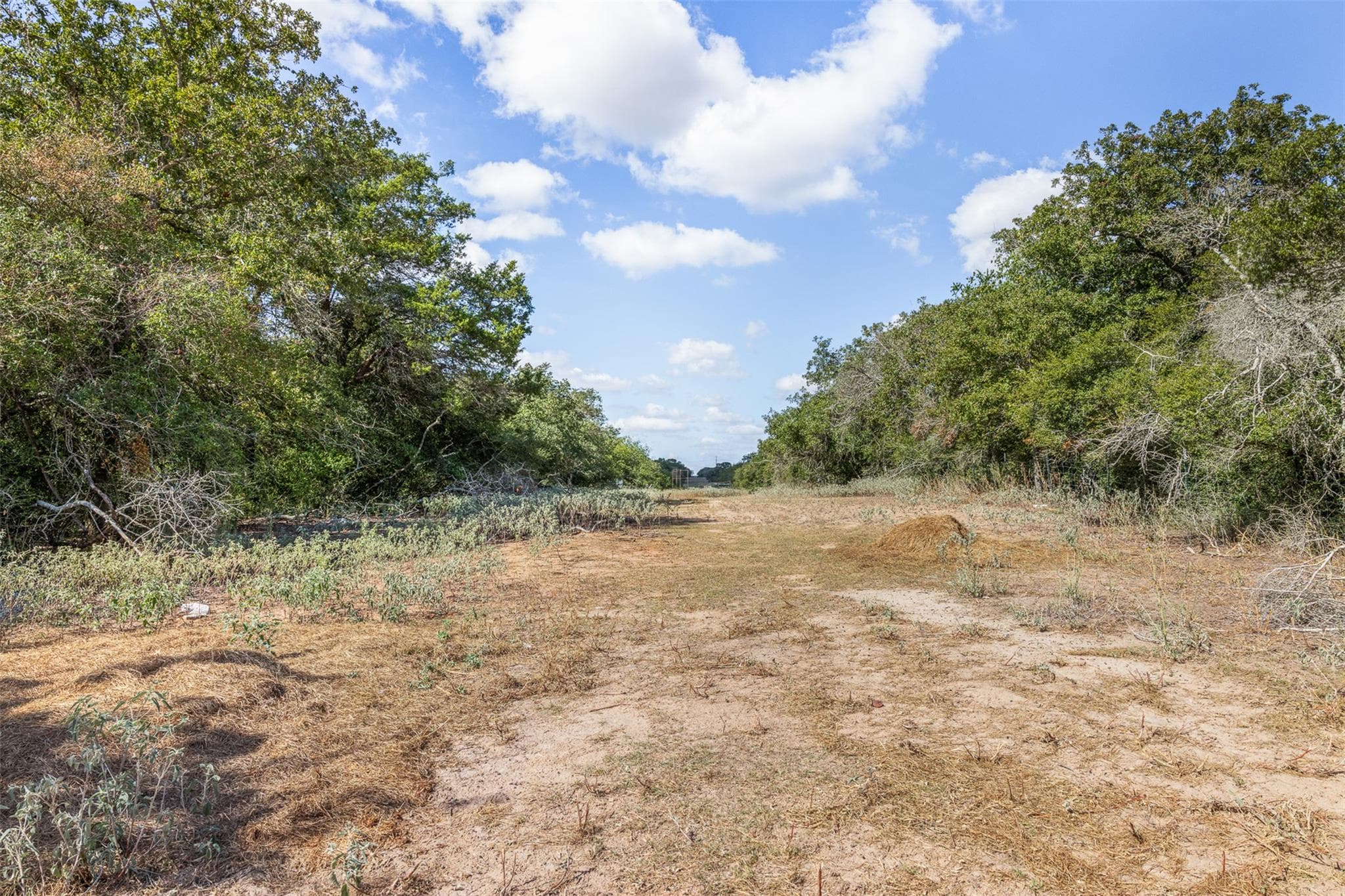 2025  Mule Creek Rd