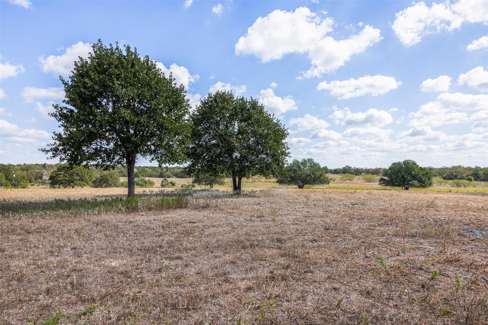 2135  Mule Creek. Rd