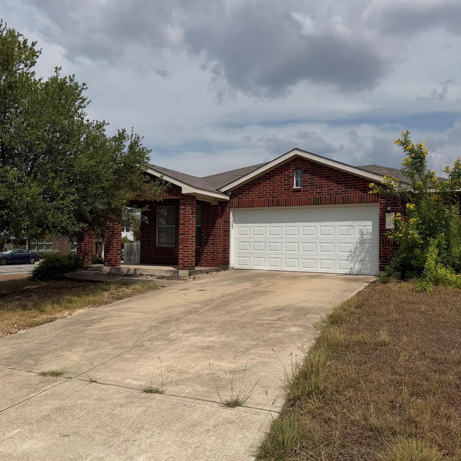 100  Carol Ave