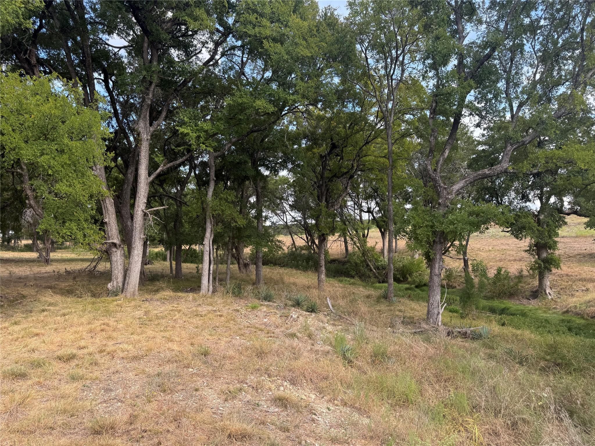 TBD Tract 6  County Road 1320 None