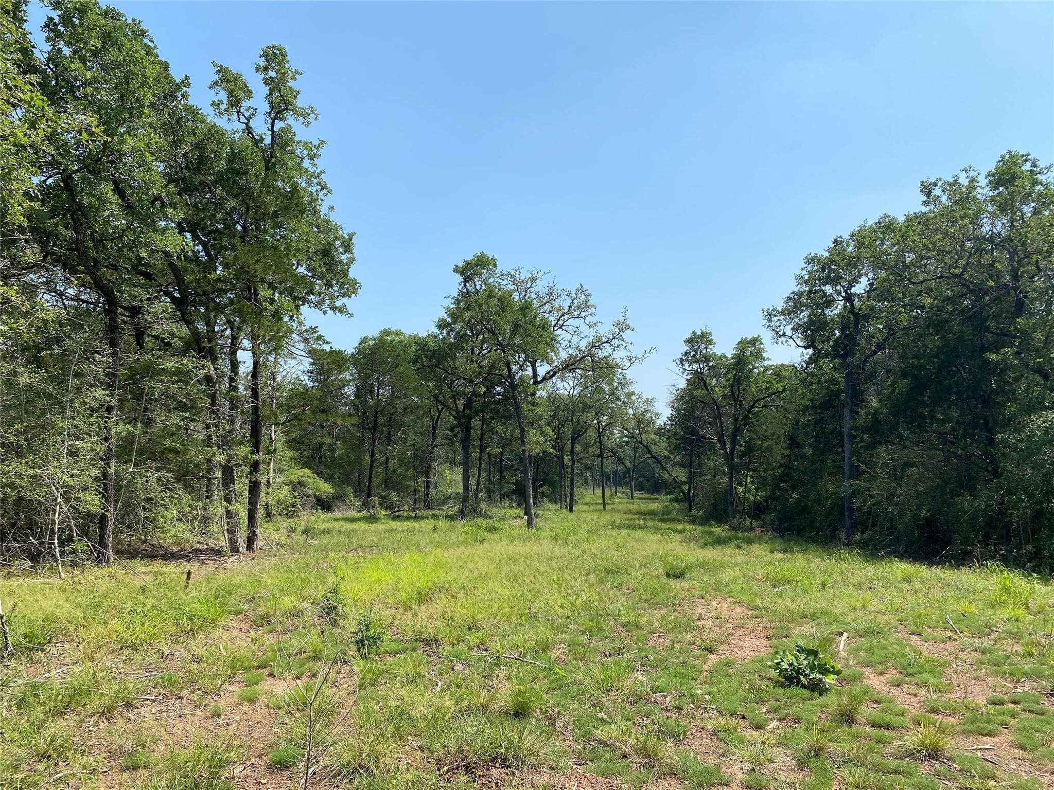 TBD High Crossing Rd - TRACT 8 None