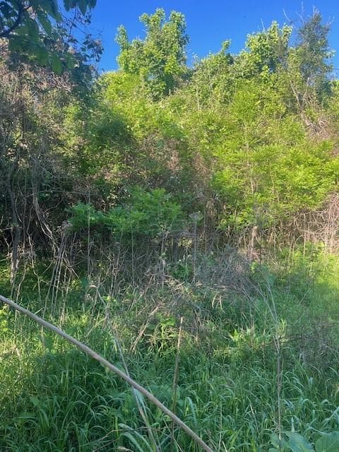 167 Kahana Ln