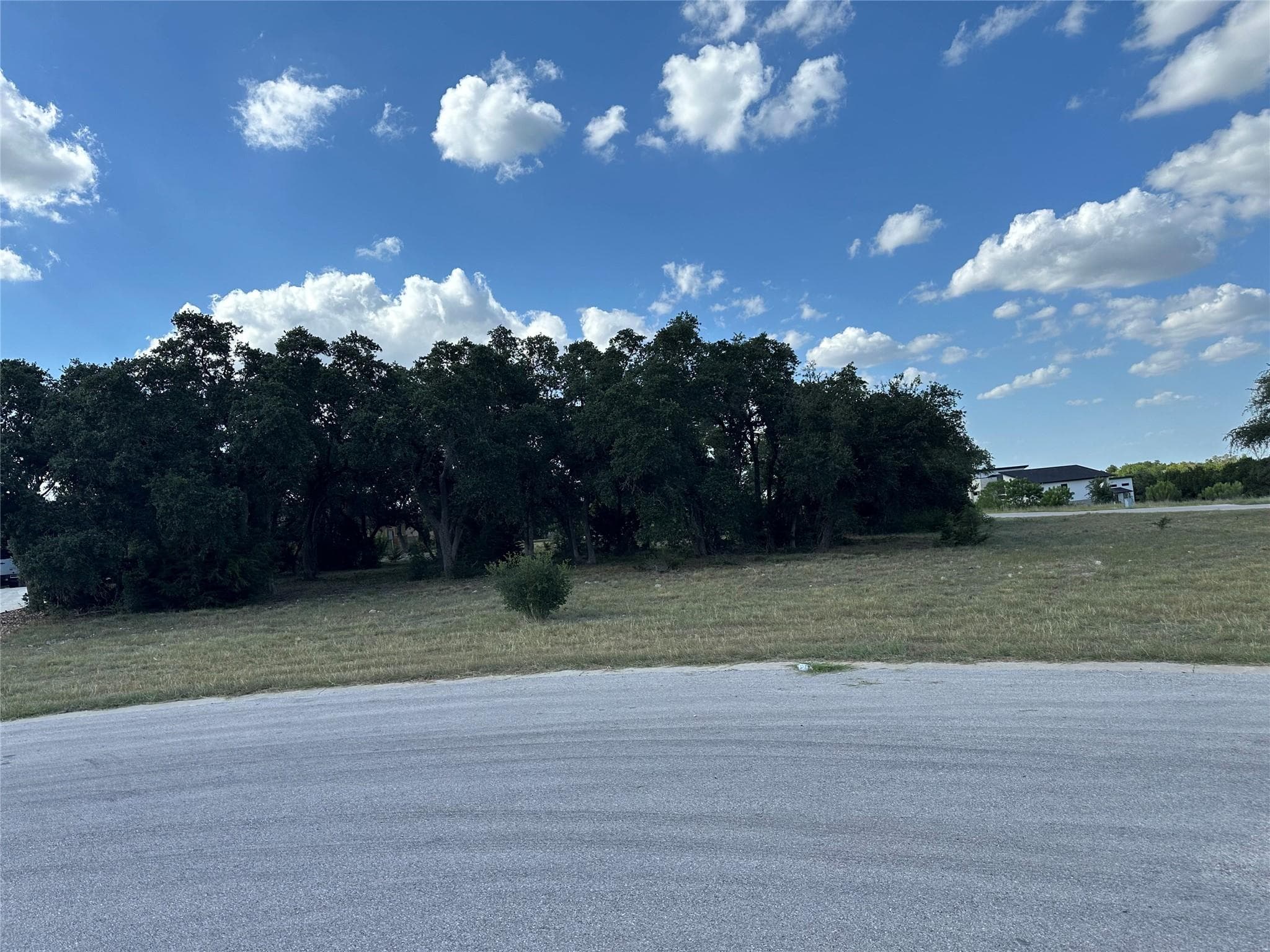 2201 Whitt Falls Cv
