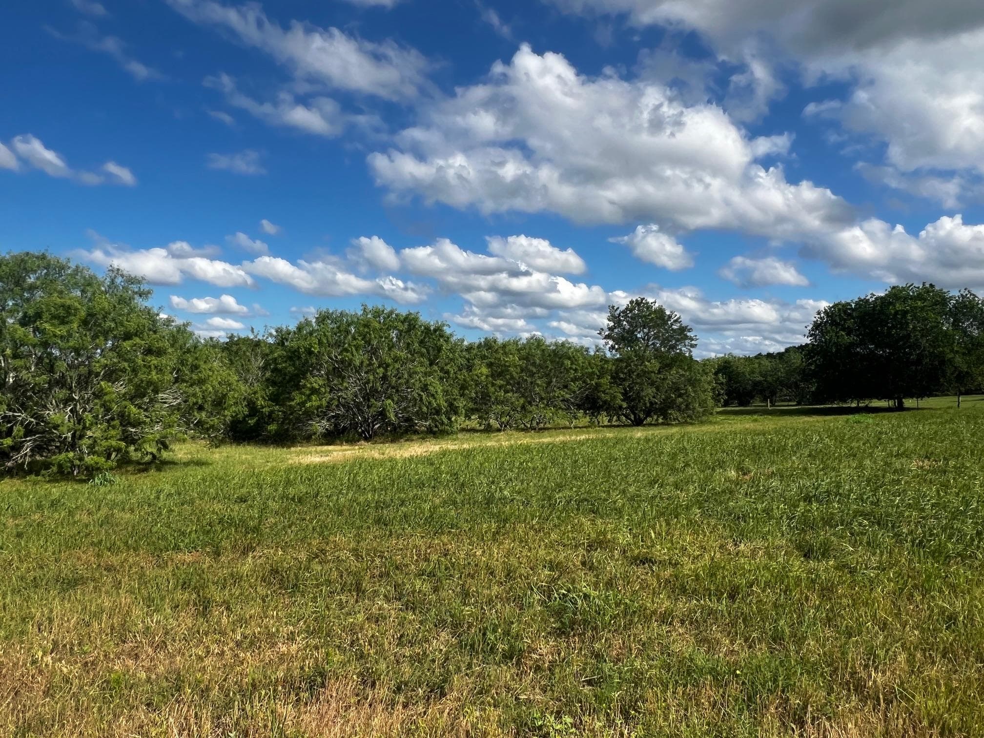 Lot 5 High Meadow Court East None