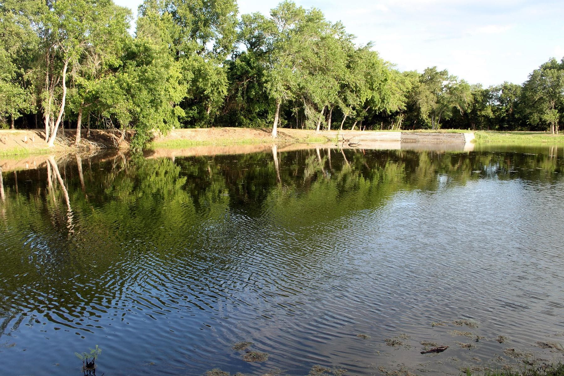 900 Old Lytton Springs Rd