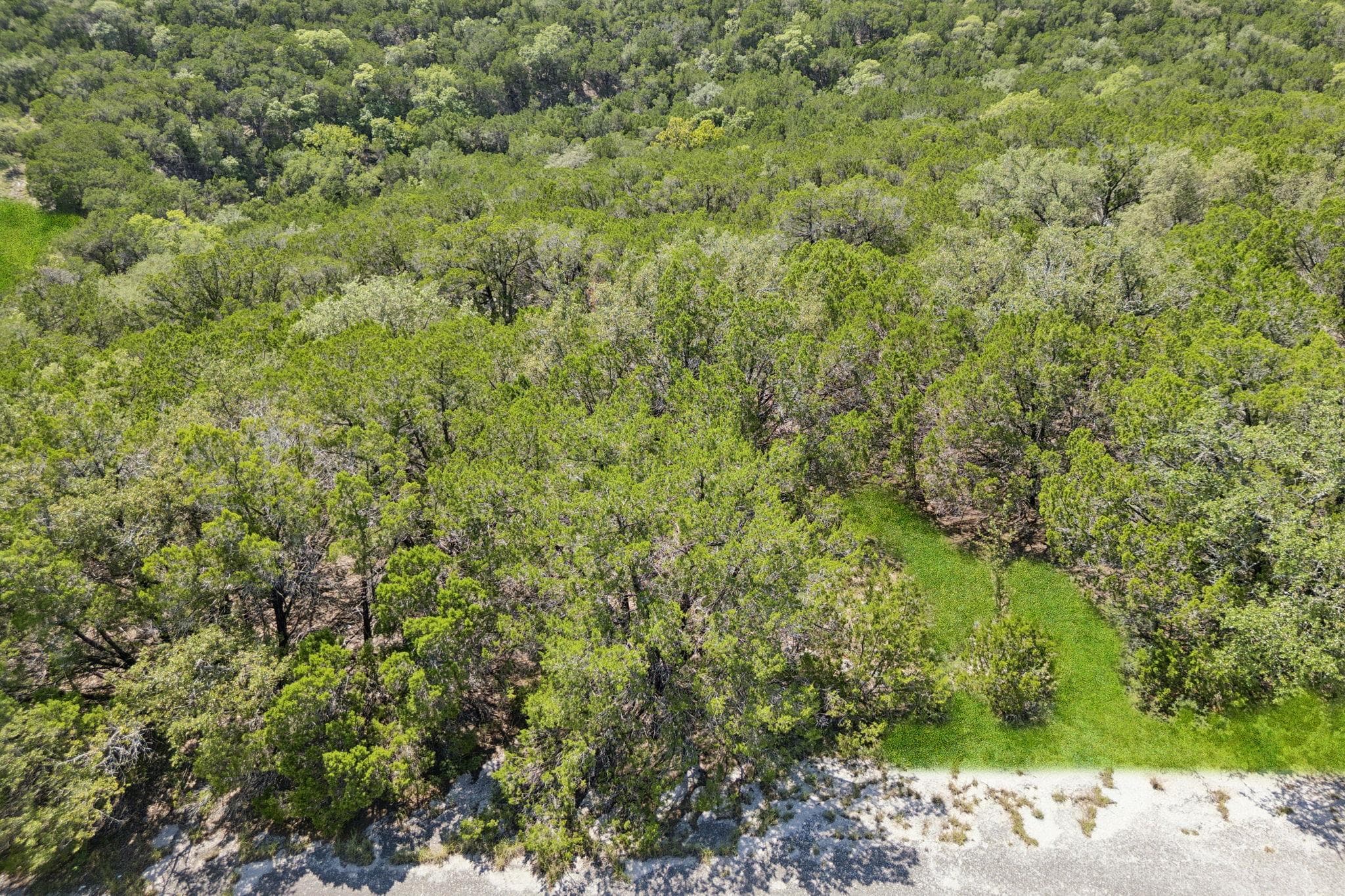 8400 Cedar Glen Cv