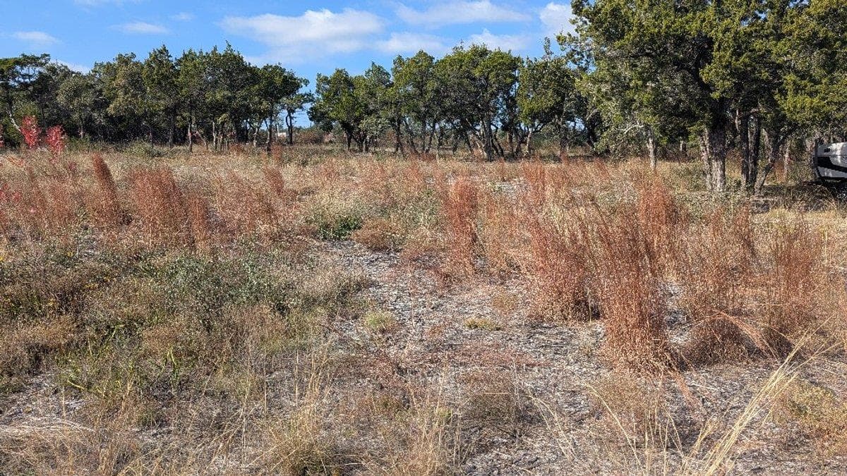 15765 Hamilton Pool Rd