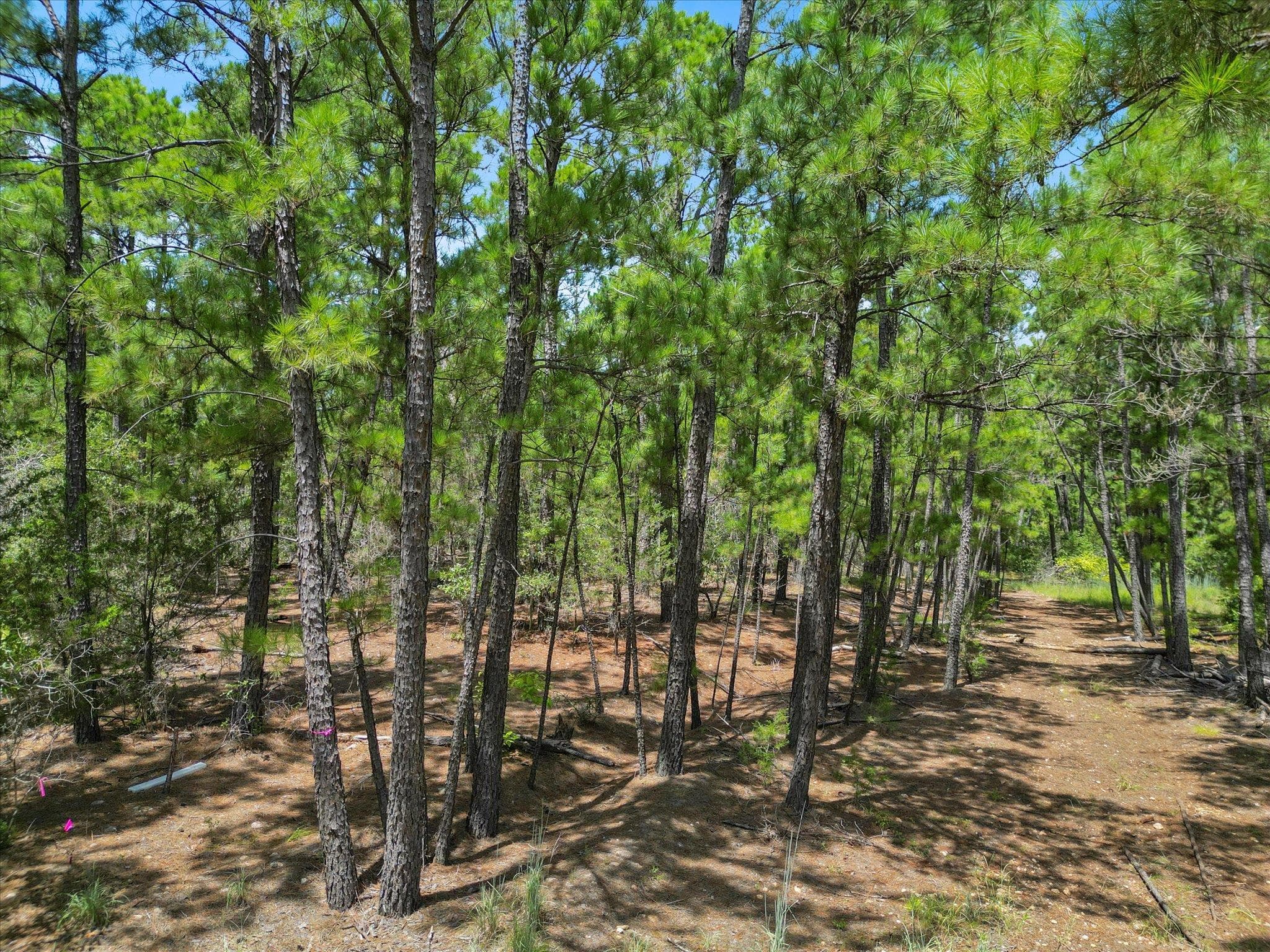 Lot 55 Akala Ln