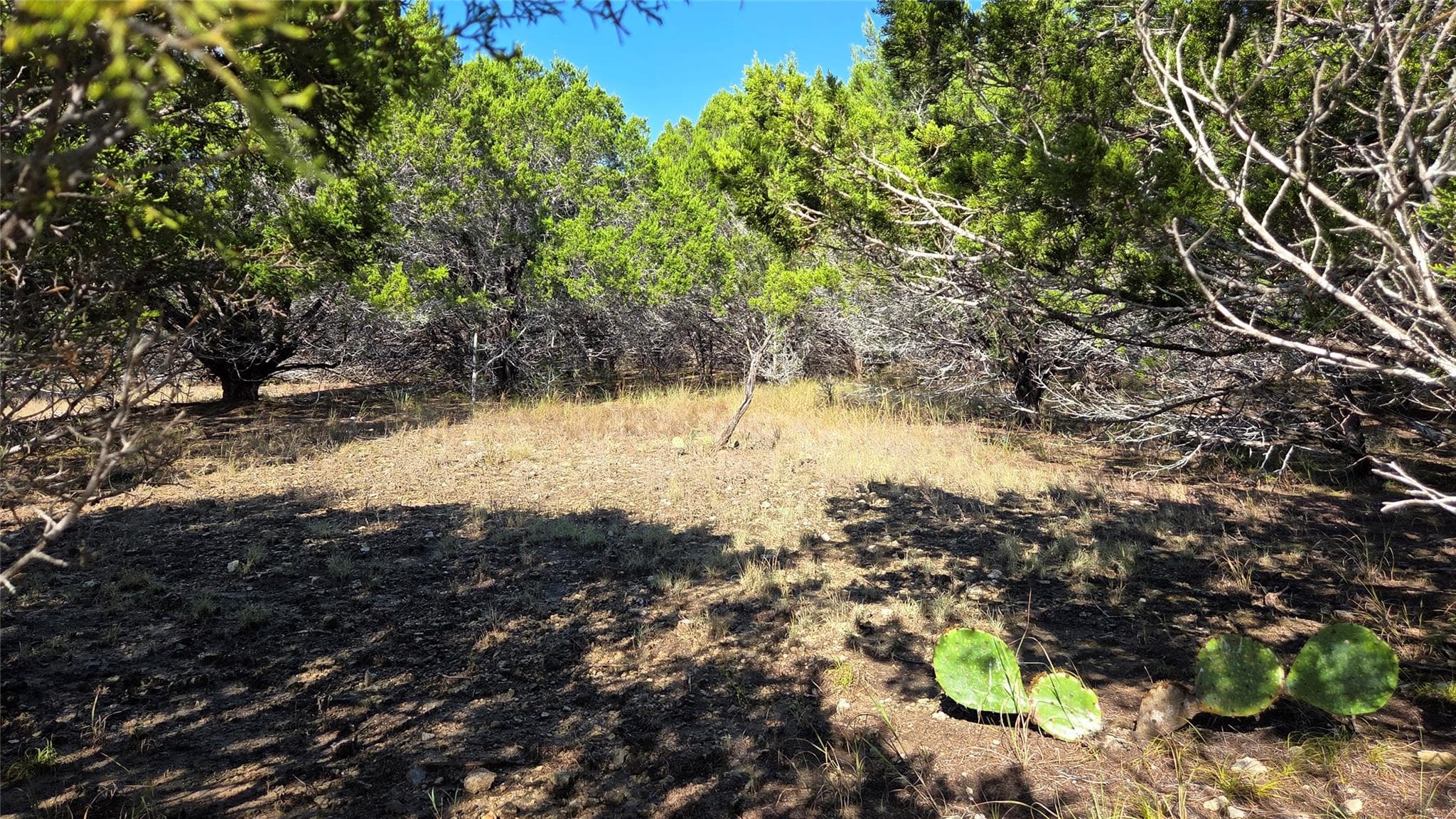 1801 Santa Cruz Cir