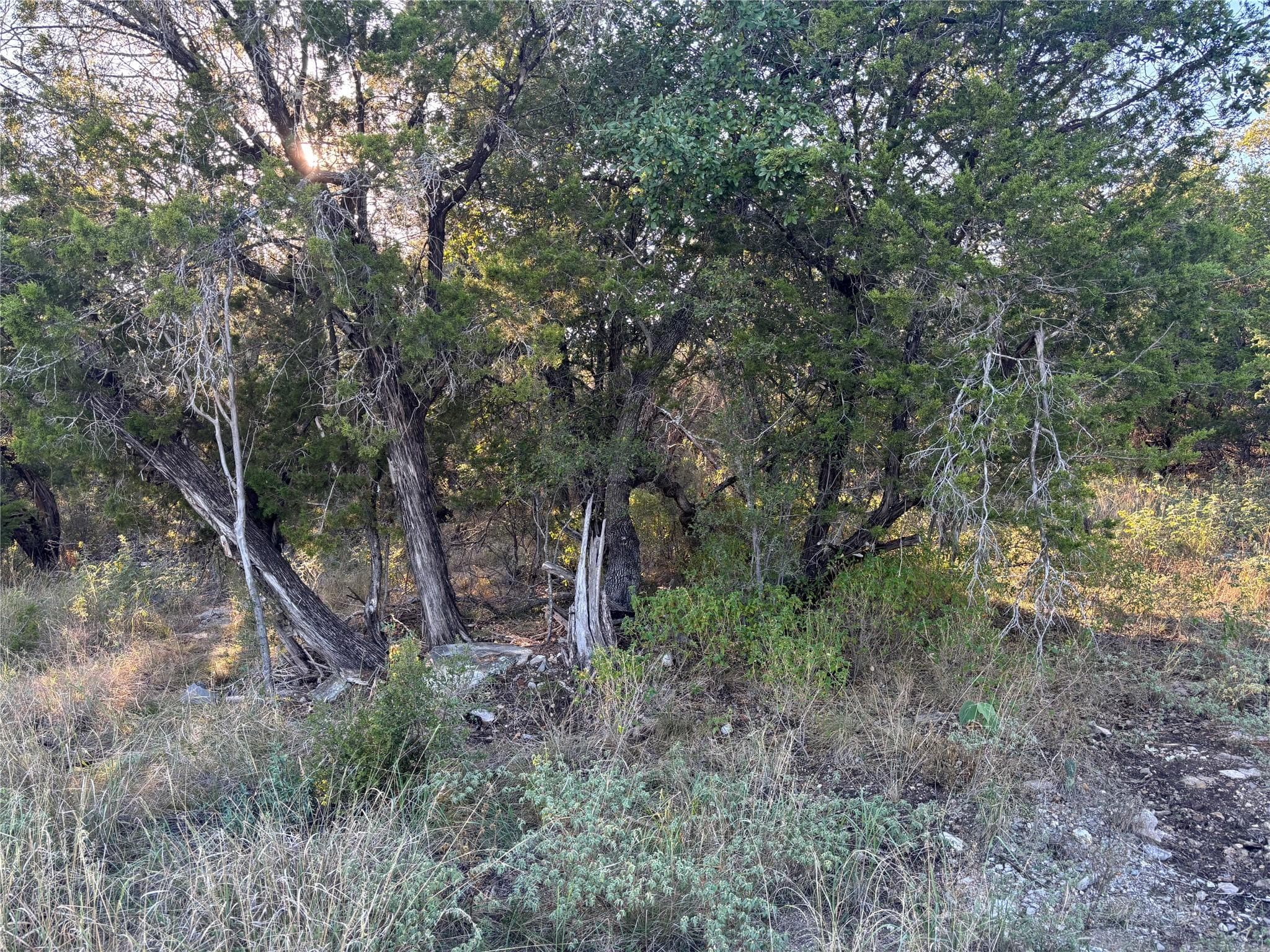Lot K4106 Coon Ct