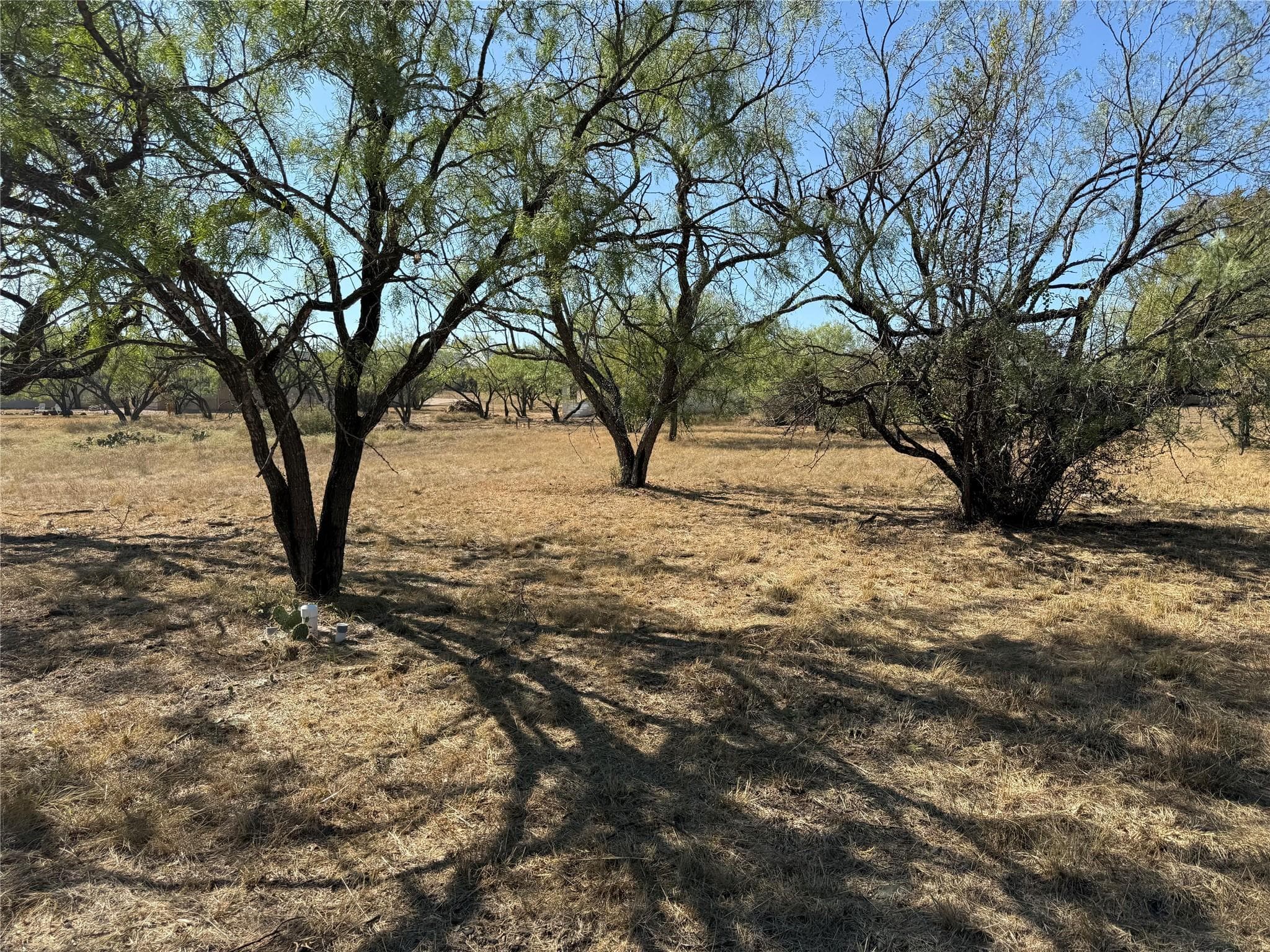 2324 Fault Line Dr