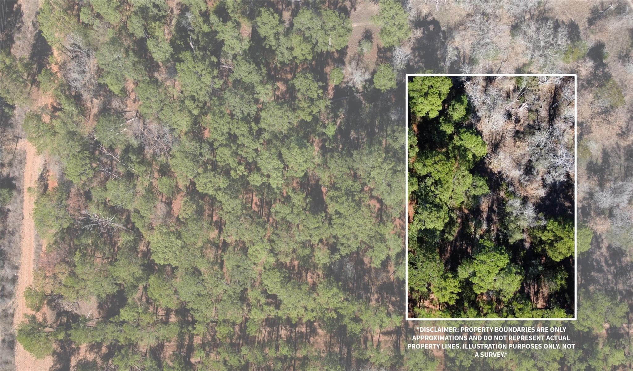 0 Pine Lodge Drive Lot 26 None