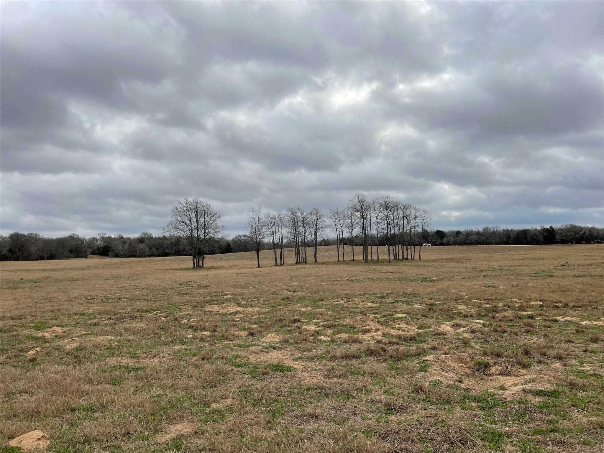 1498 Walleye Creek Ln