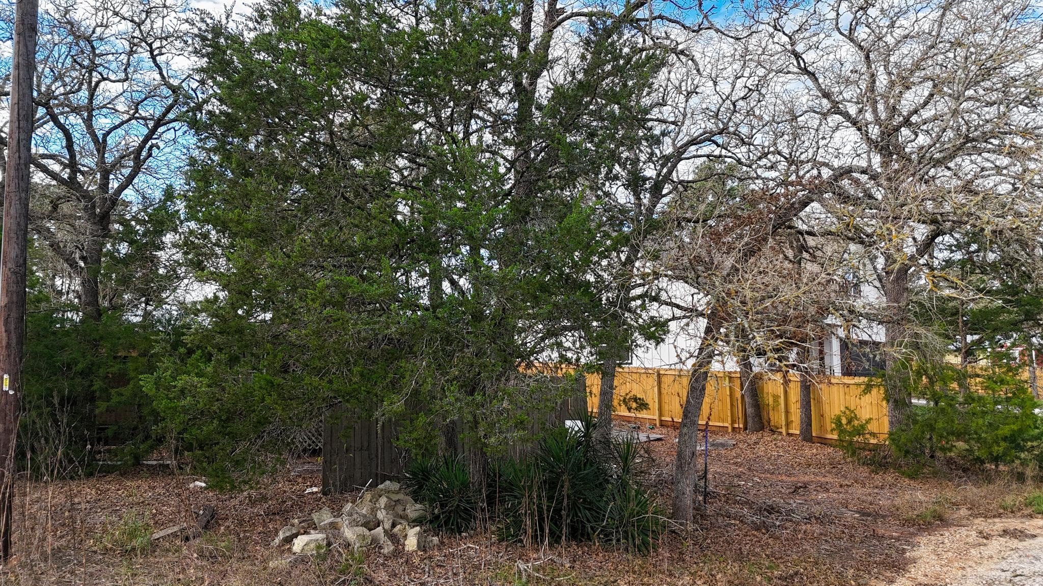 115 Eaglenest Ct