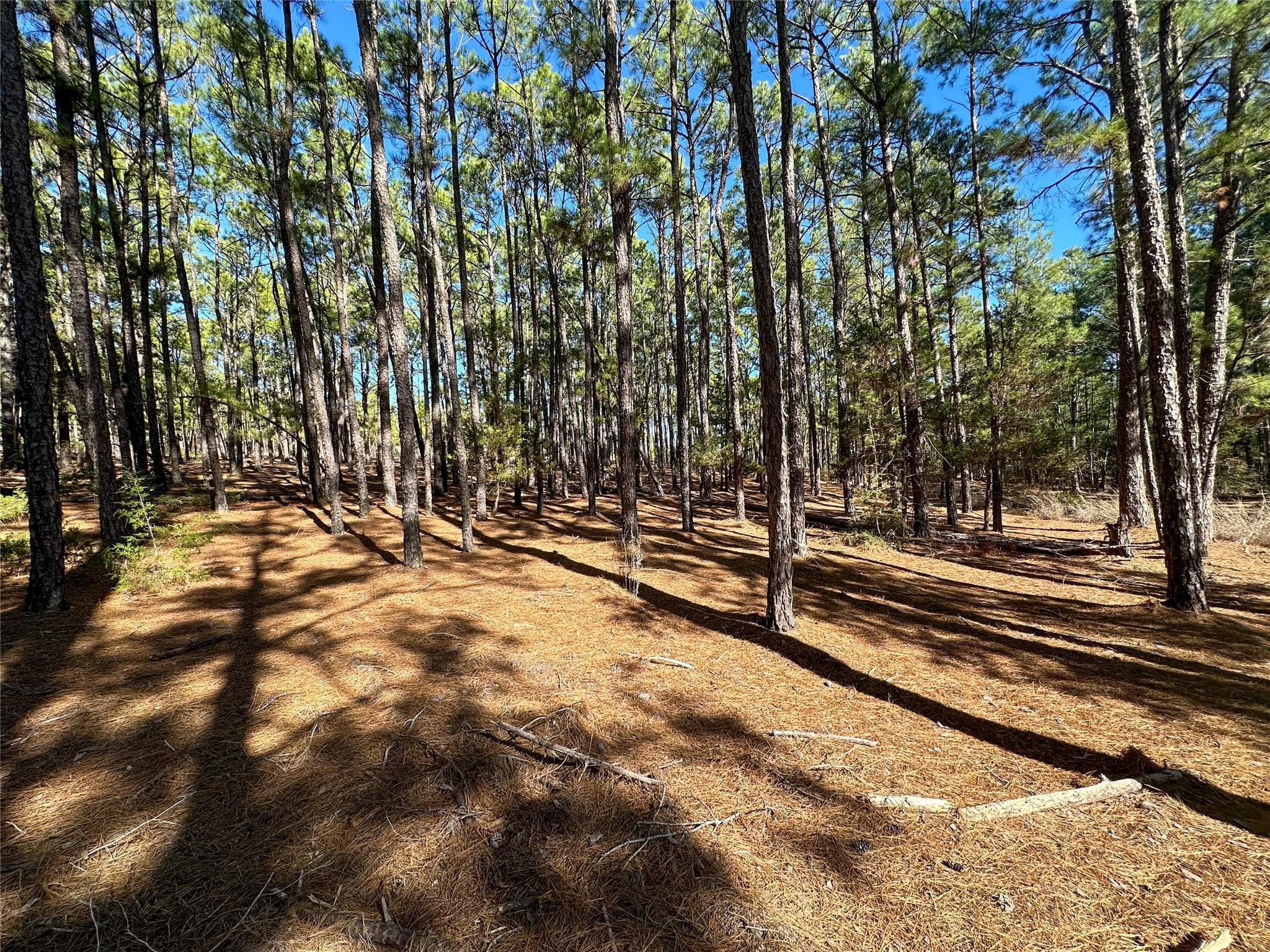 Lot 12 Hickory Ridge Dr