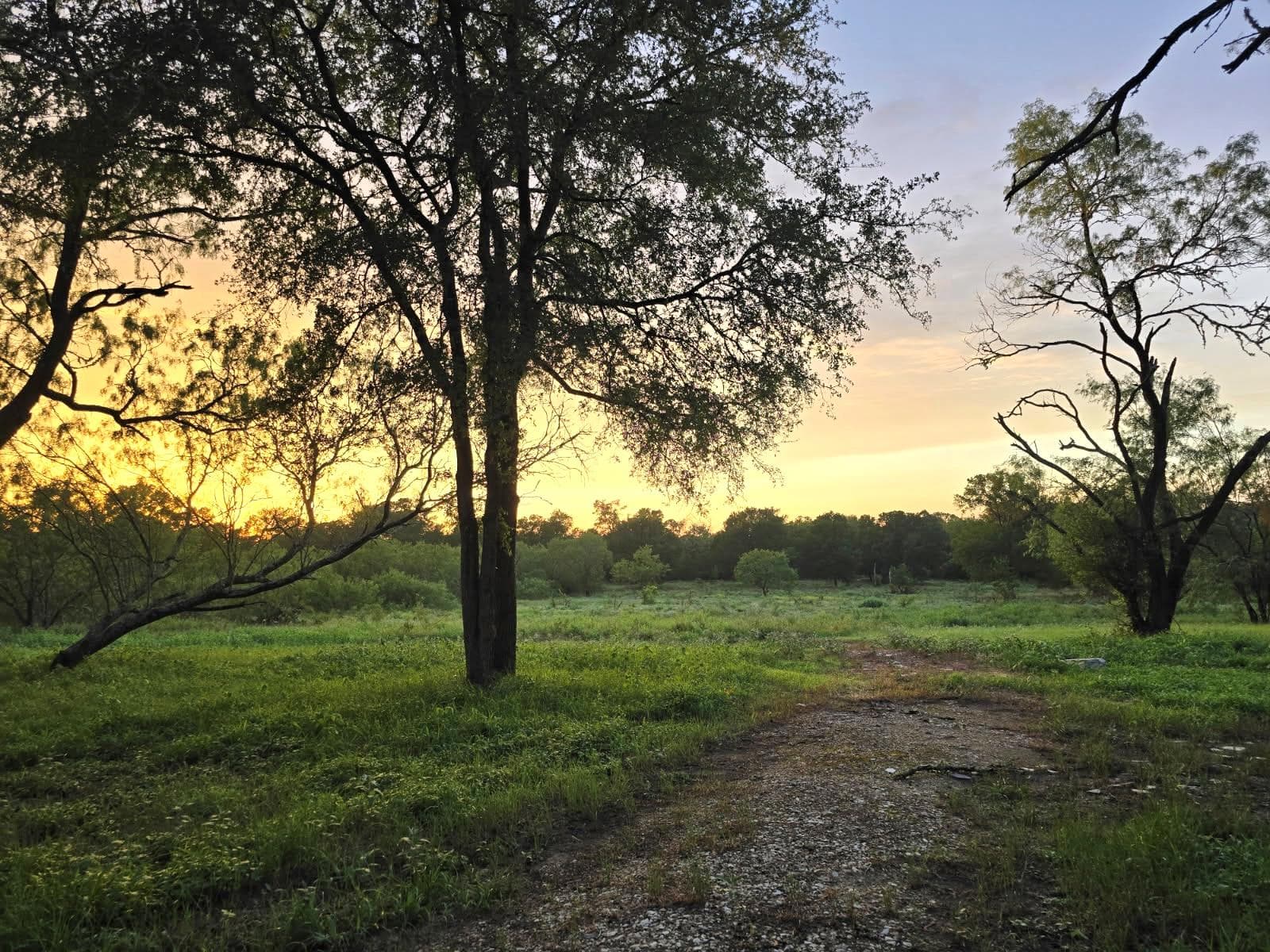 124 Valley Creek Dr None