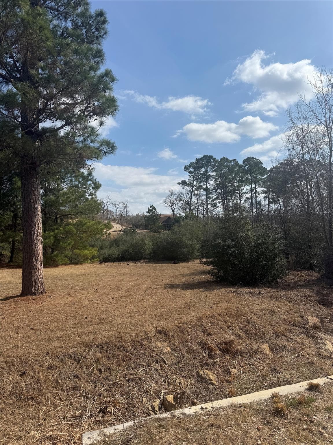 123 Koali Dr