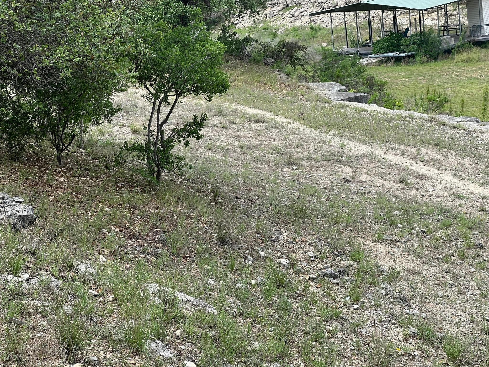 19906 CONSTITUTION Cv