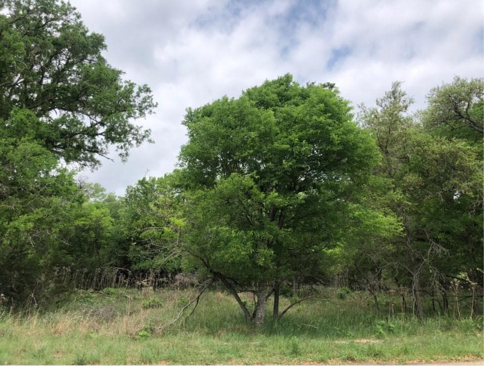 76 E Valley Springs Rd