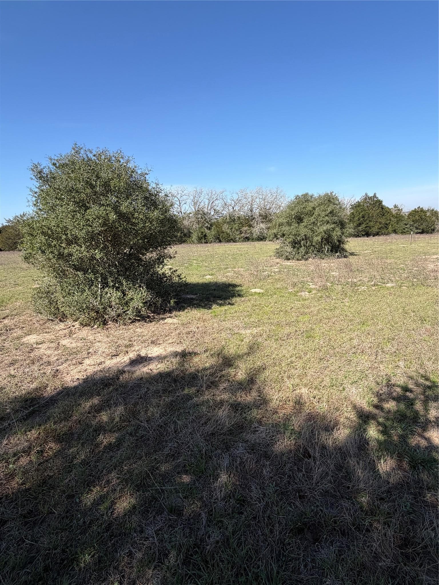 TBD Cedar Rock Rd
