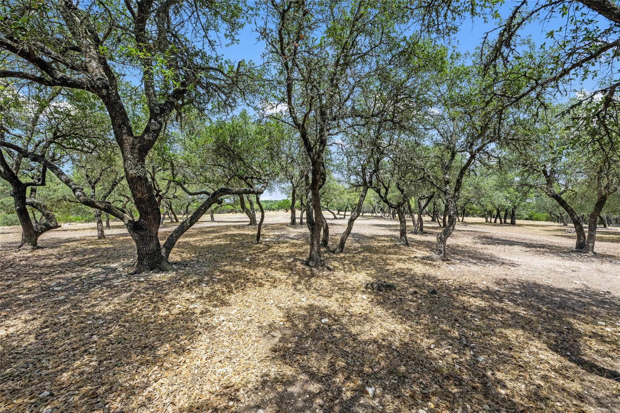 0000 South Oak Forest Dr