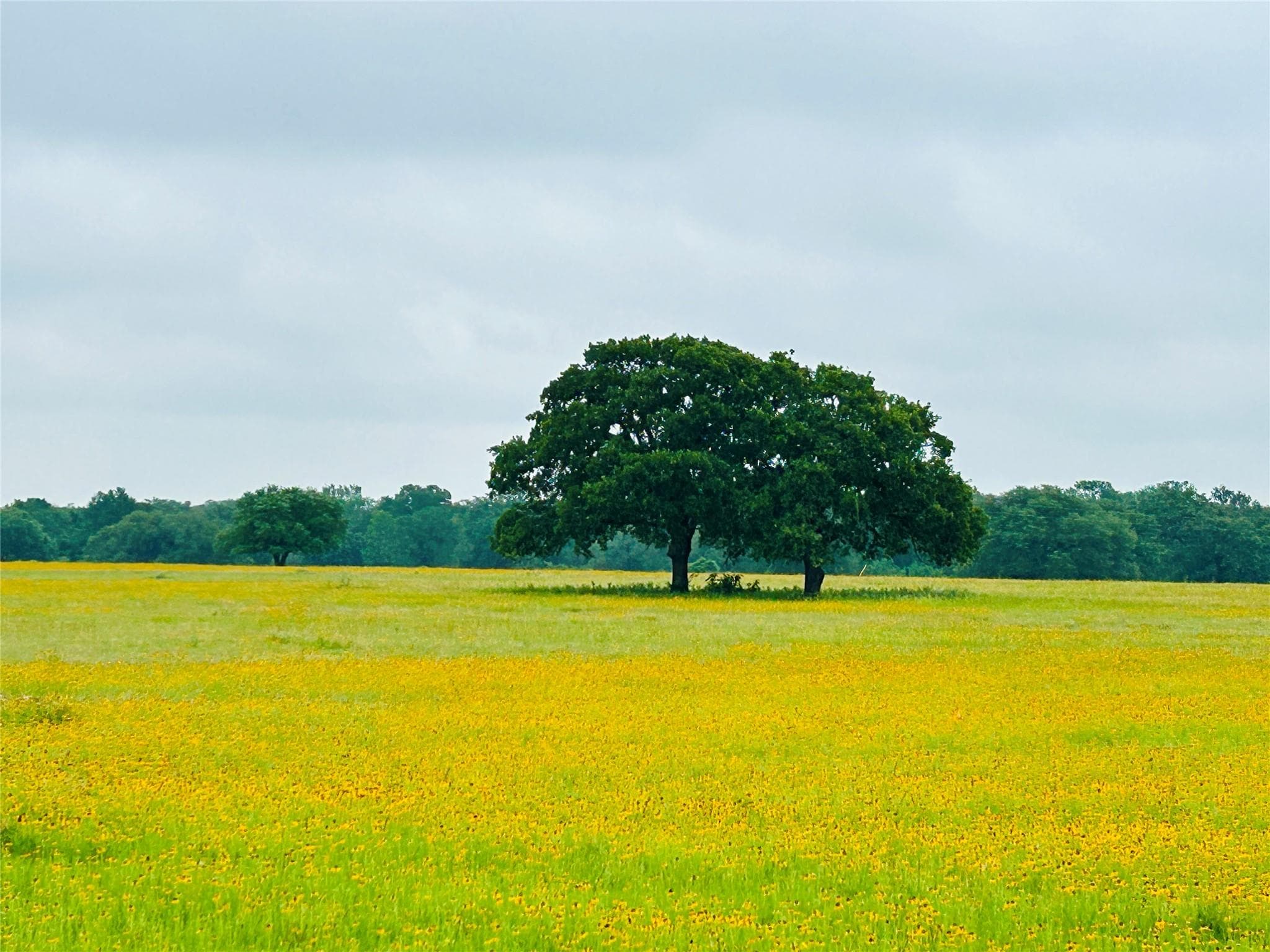 TBD Lot 5 County Road 127 Rd
