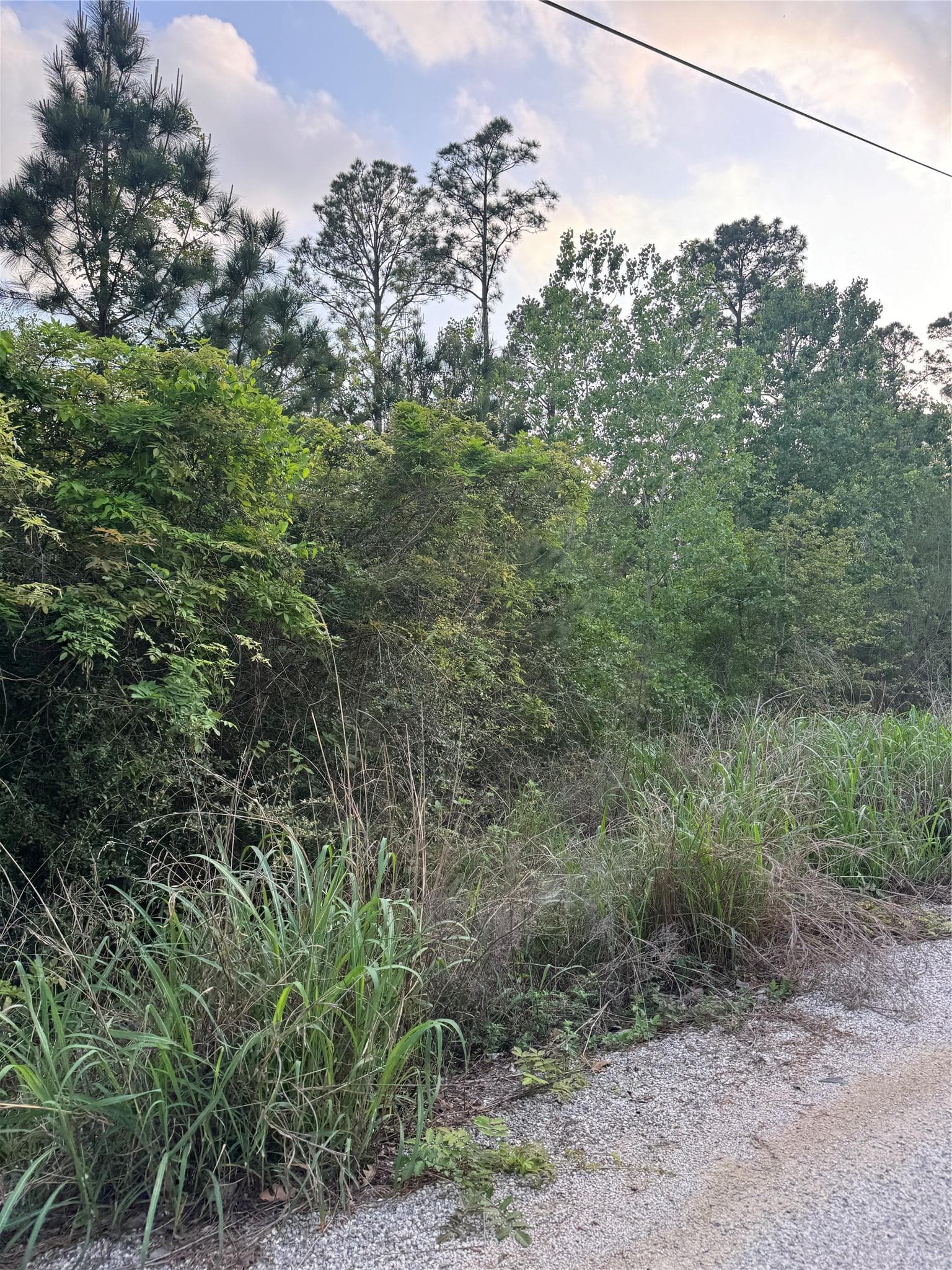 Lot 1386 N Pahihi Dr