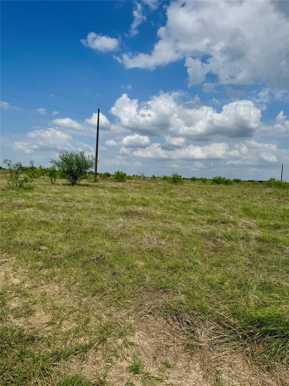 TBD Lot 14 CR 473 None