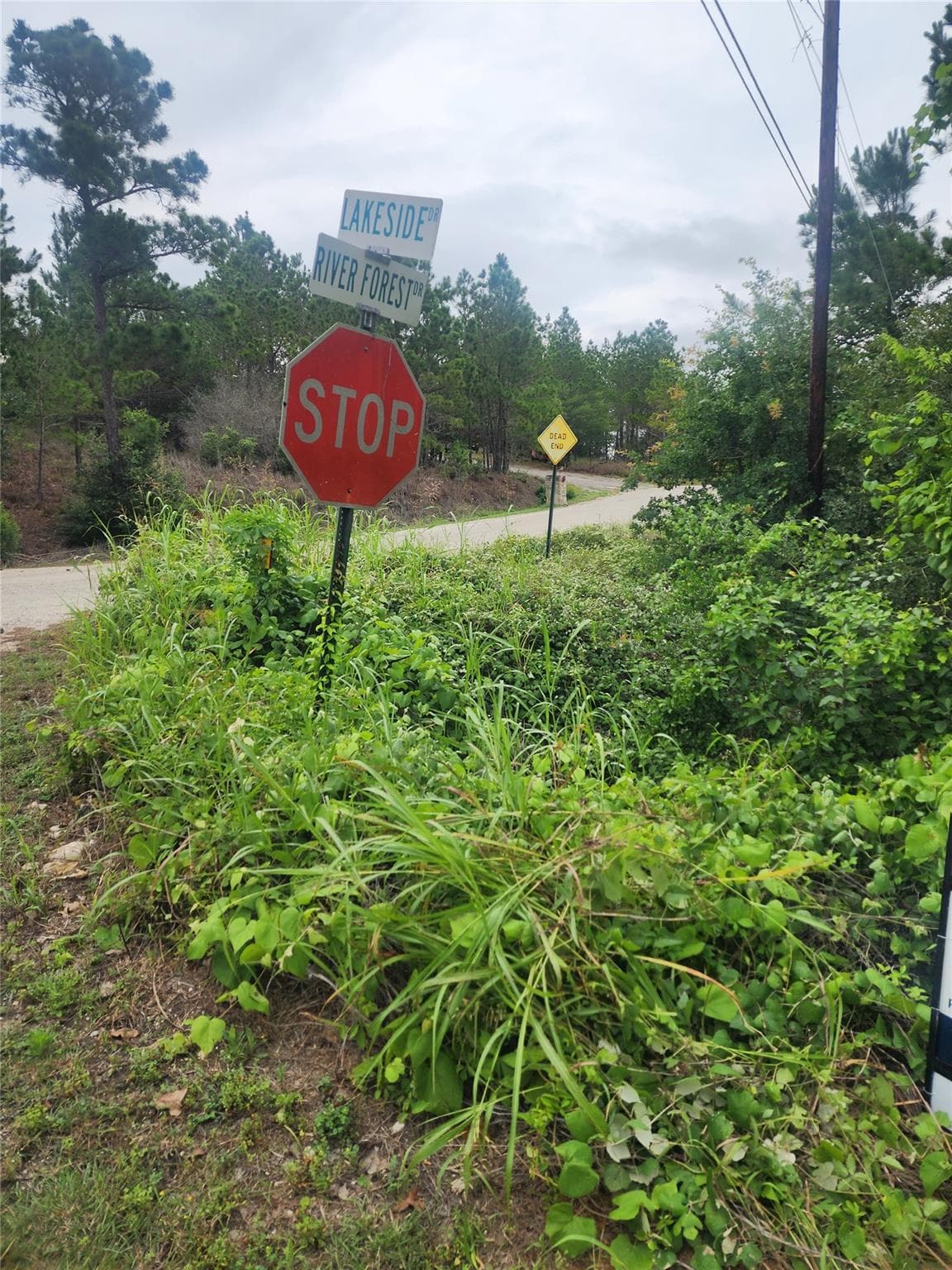 lot 70 Lakeside Dr
