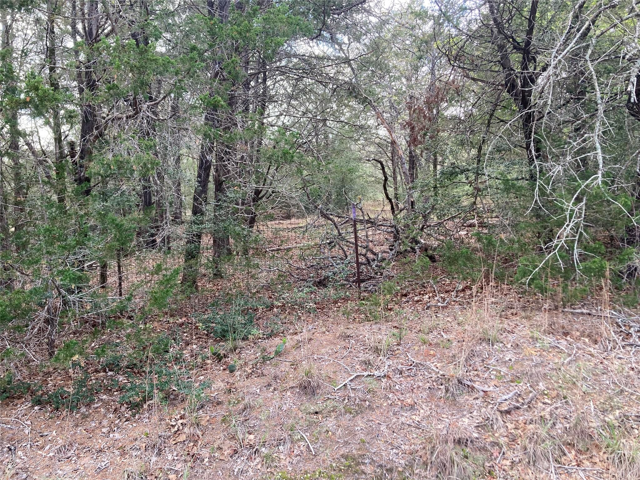 314 Green Oaks Dr #Lot 14-B