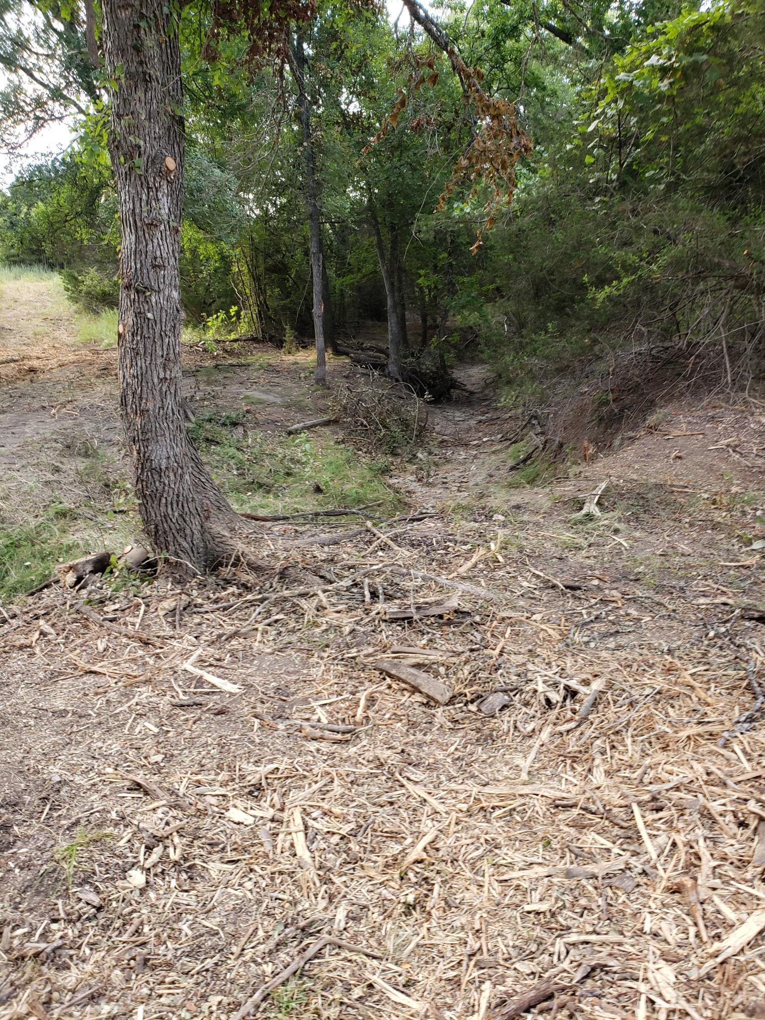 Lot 44 County Road 3640 None