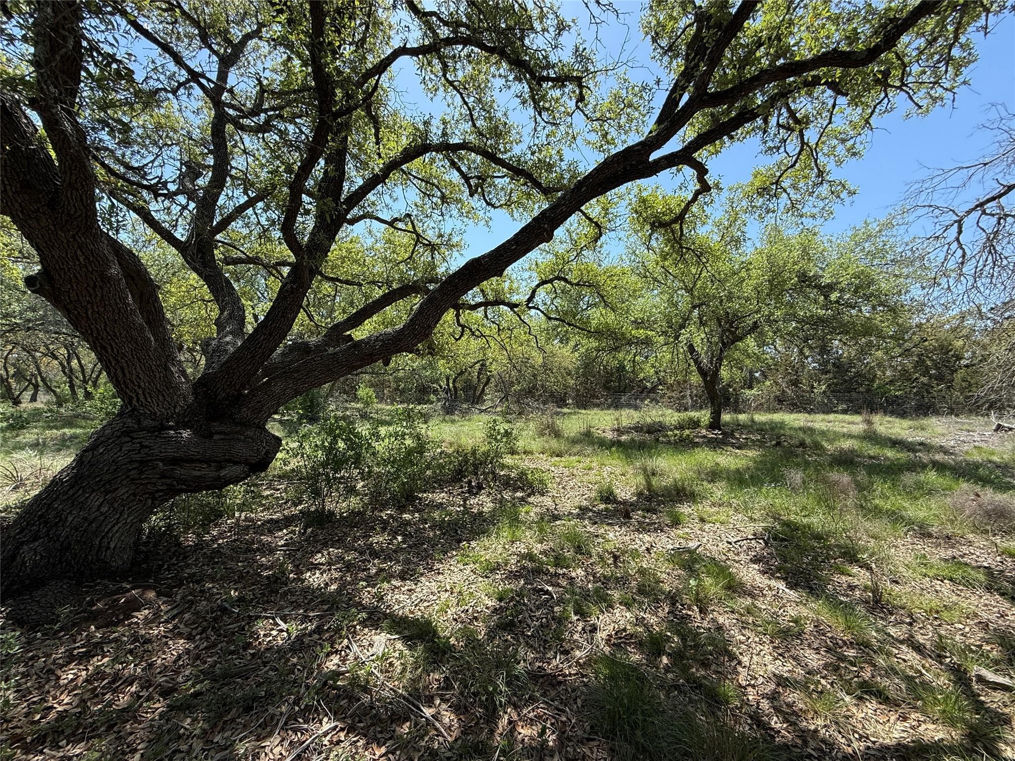Lot 106 E Flying Owl Dr