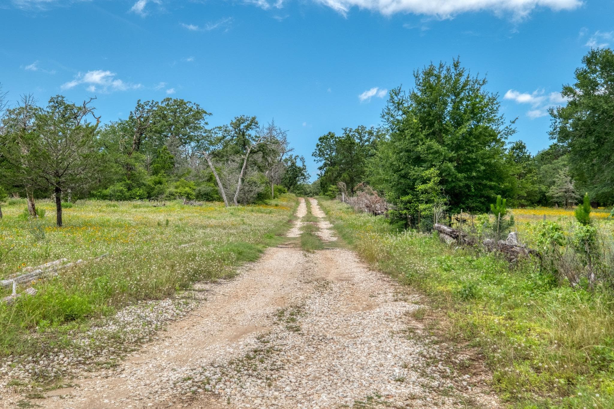 TBD Pathfinders Way