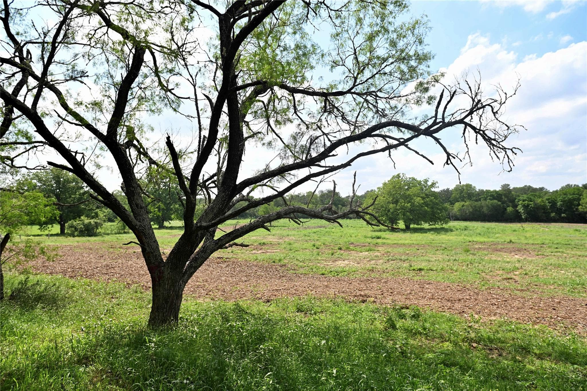 Lot 5 Valley Creek Dr