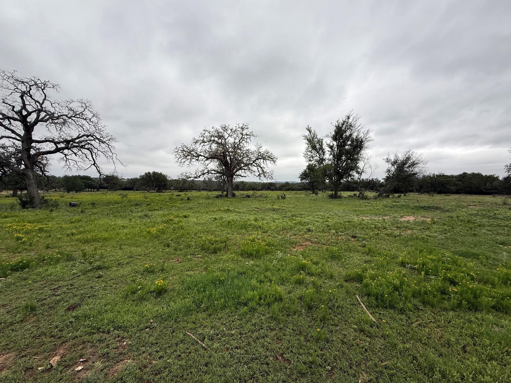 1399 Klett Ranch Rd