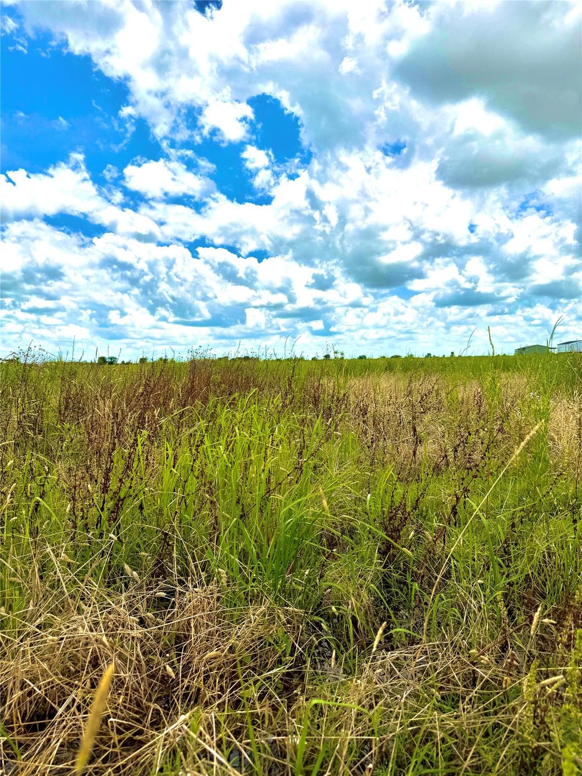 TBD Tract 4 Beal Rd