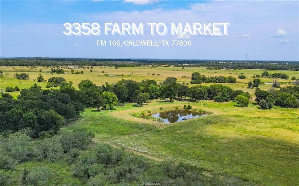 TBD FM 166 (+/-54 acres) None