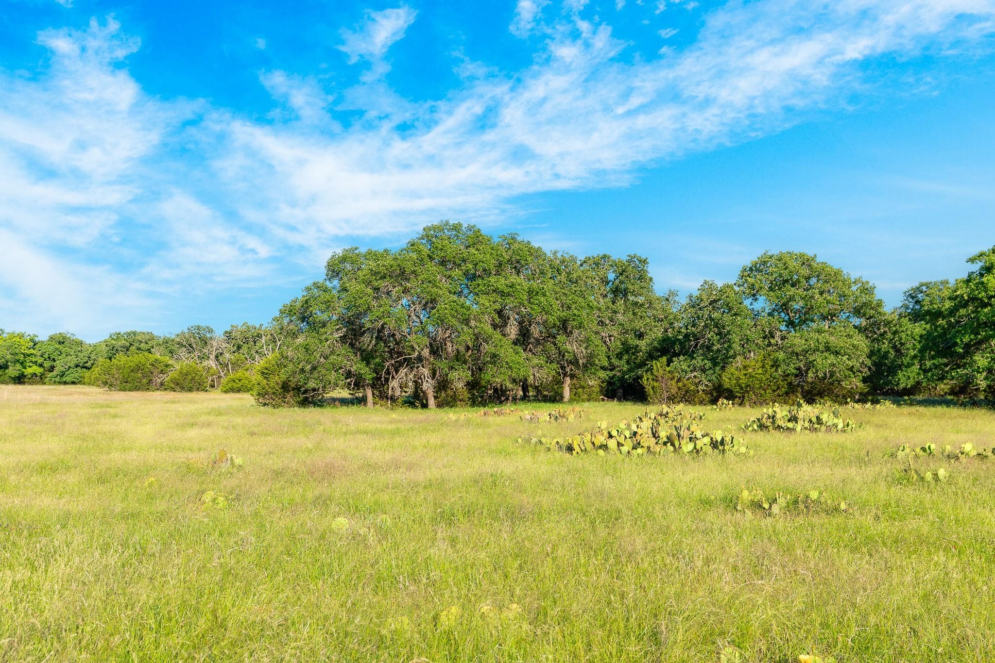 32 Feild Ranch Rd