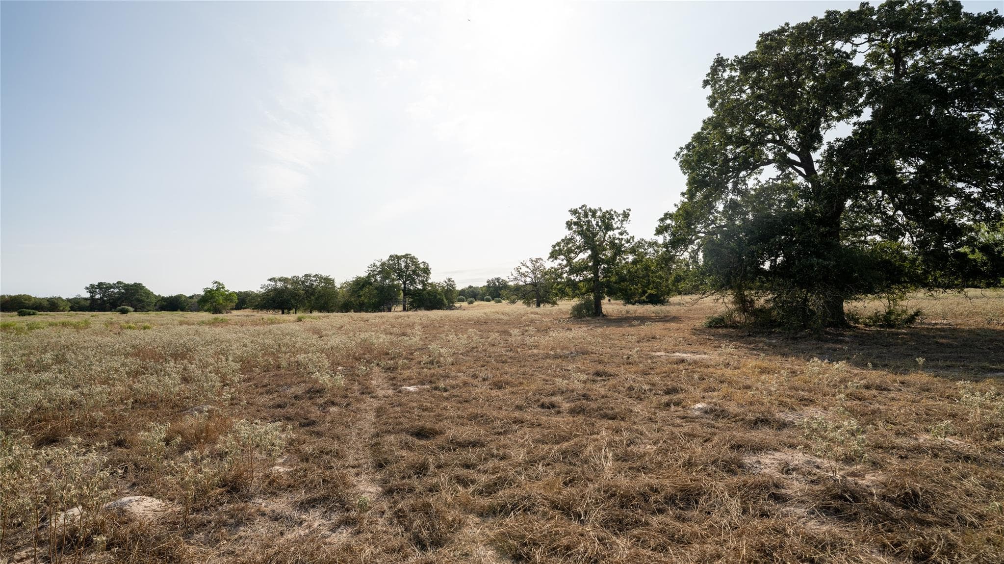 TBD TRACT 5 CEDAR ROCK Rd