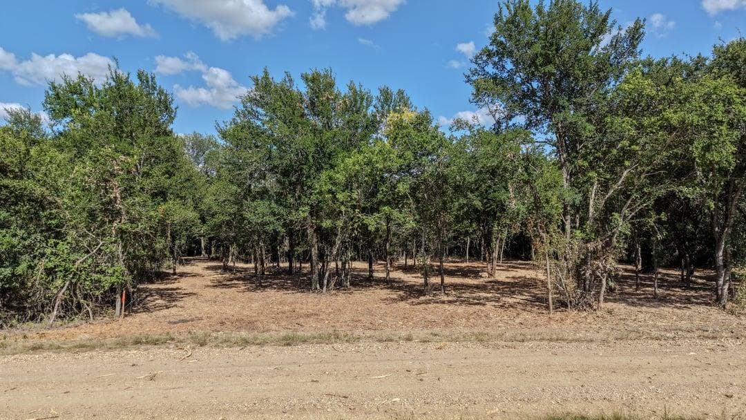 TBD CR 418A (Wahle Road) None