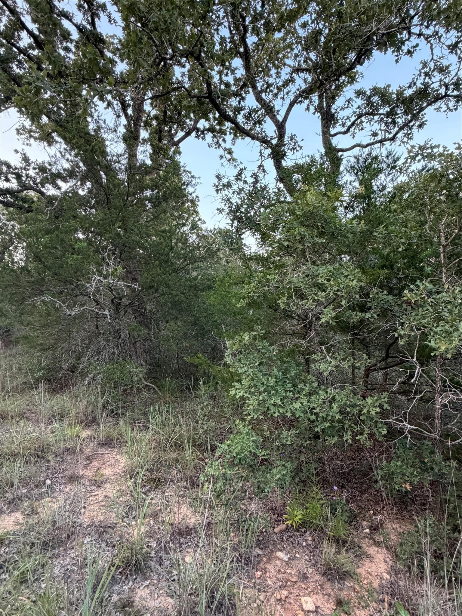 Lot 4 Spruce St